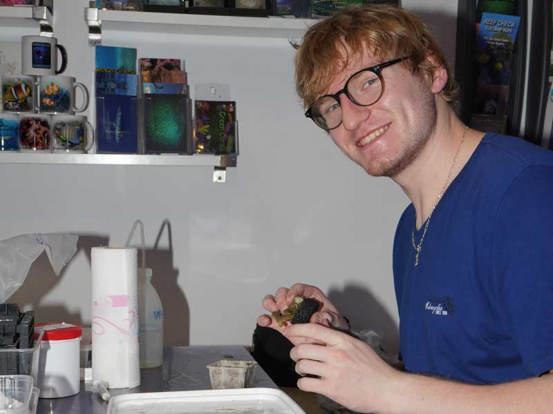 Mitarbeiter Green Corals, Sebastian Rumpf