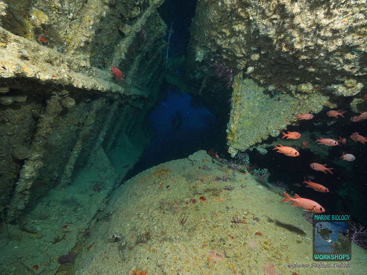 Wrack der Dunraven, nördliches Rotes Meer, Ägypten