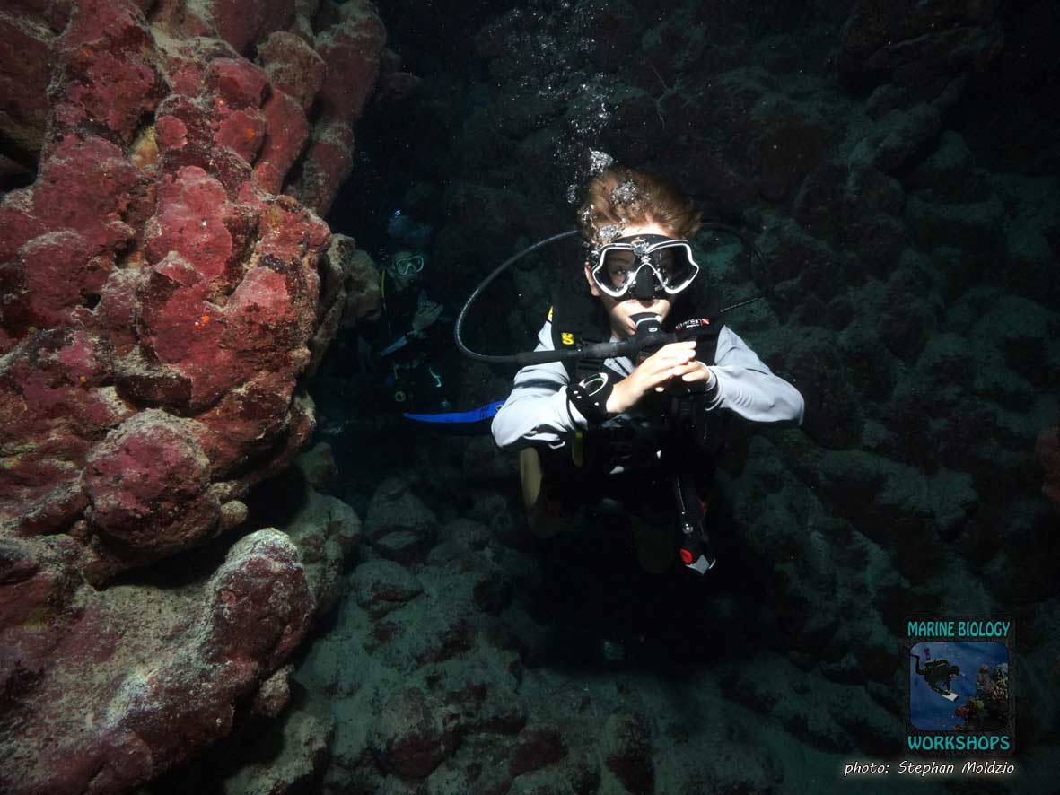 Diver at Long Canyon, Marsa Alam, Egypt.