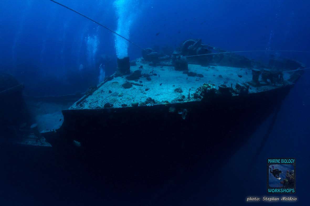 SS Thistlegorm, northern Red Sea SS Thistlegorm, nördliches Rotes Meer