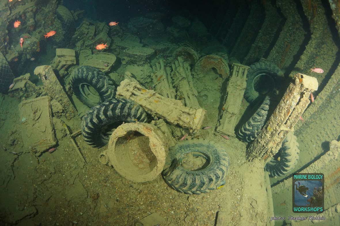 Rifles and Car Tyres, SS Thistlegorm, northern Red Sea Gewehre und Autoreifen, SS Thistlegorm, nördliches Rotes Meer