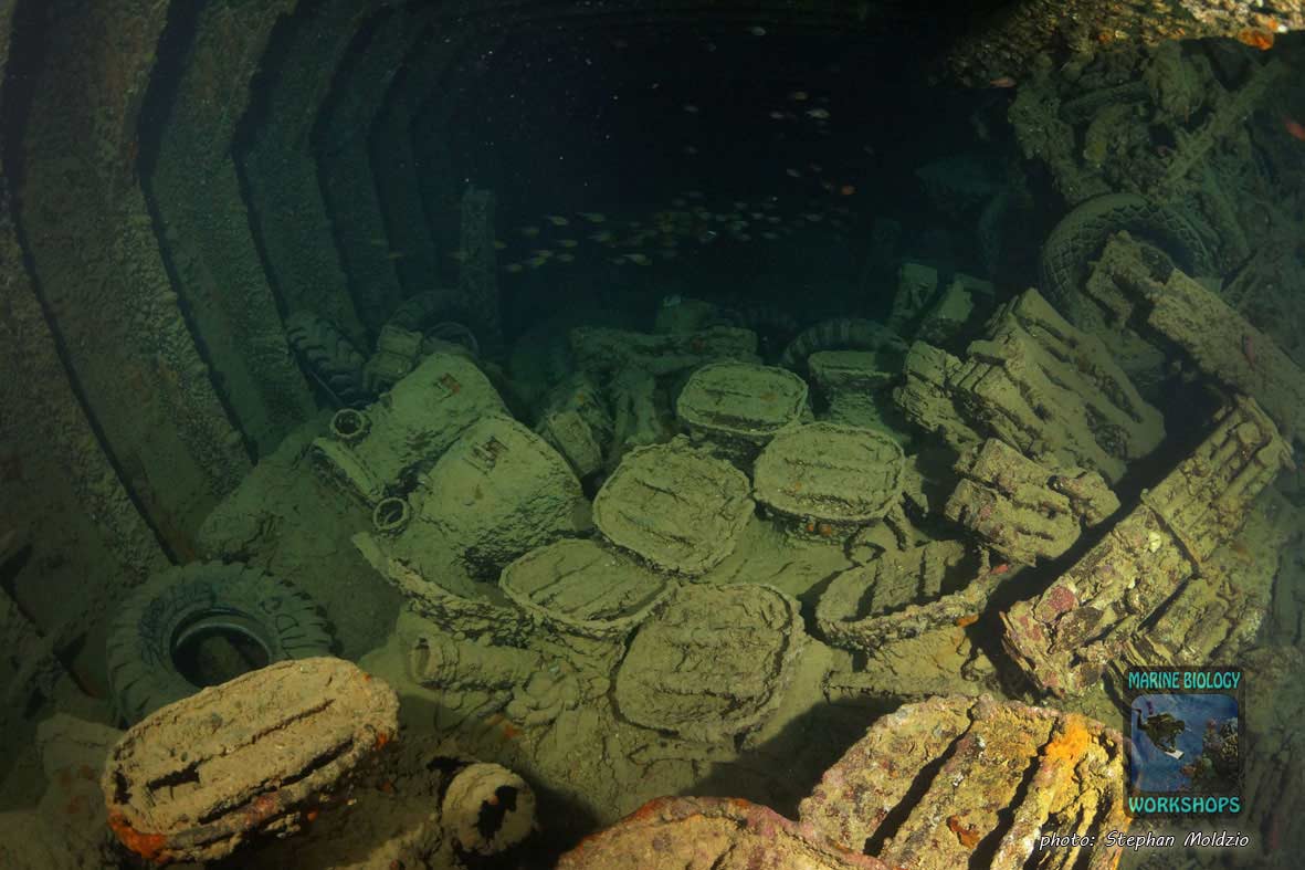 Truck gear boxes and Rifles, SS Thistlegorm, northern Red Sea Gewehre und Getriebe, SS Thistlegorm, nördliches Rotes Meer