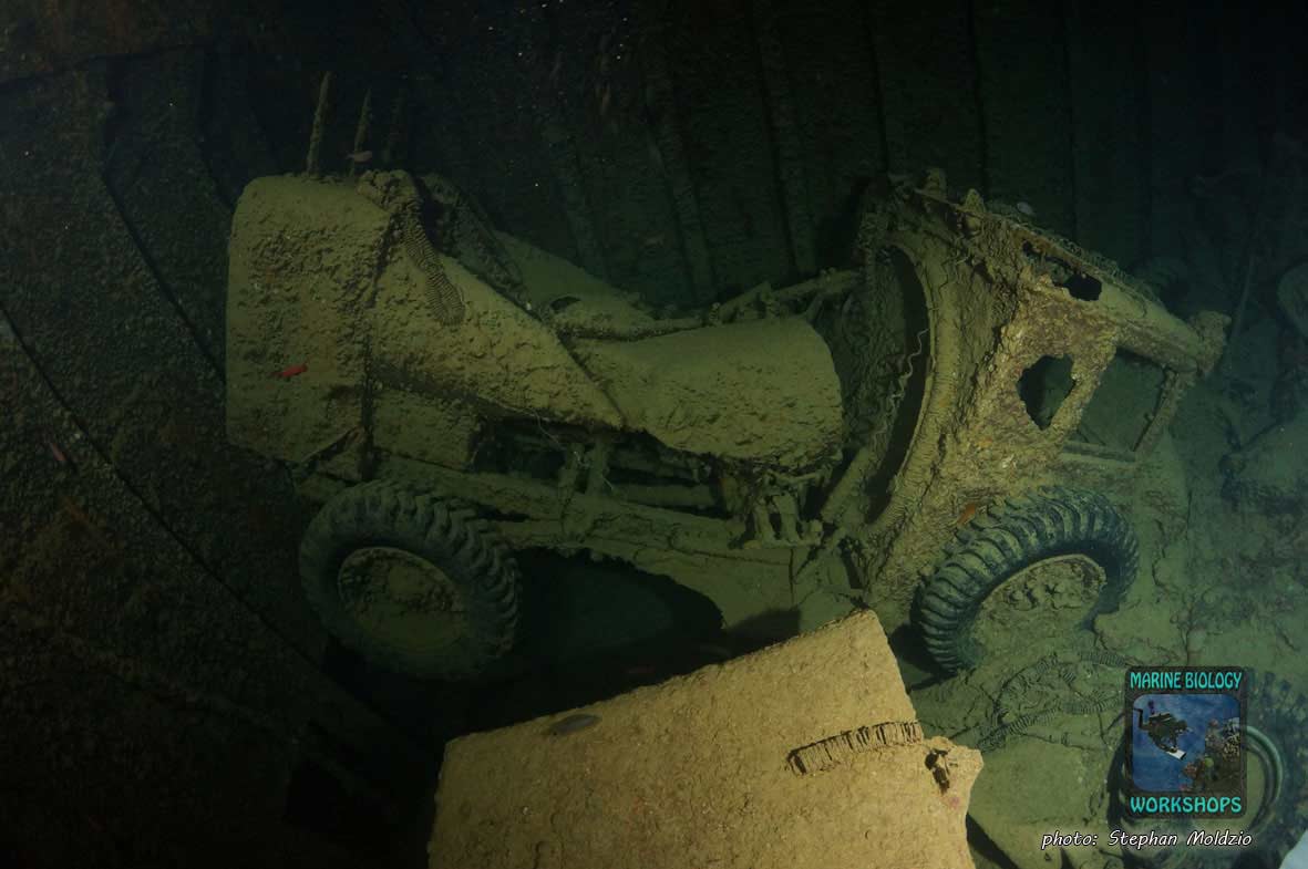 Army truck, SS Thistlegorm, northern Red Sea Armee LKW, SS Thistlegorm, nördliches Rotes Meer