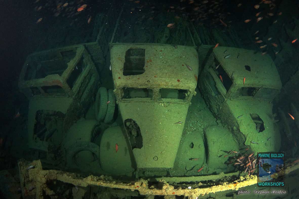Army trucks, SS Thistlegorm, northern Red Sea