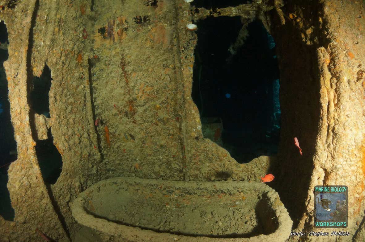 Captains bathroom, SS Thistlegorm, northern Red Sea Badezimmer Kapitänskajüte, SS Thistlegorm, nördliches Rotes Meer