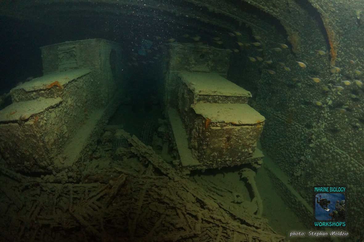 Railway wagon, SS Thistlegorm, northern Red Sea Eisenbahnwaggons, SS Thistlegorm, nördliches Rotes Meer