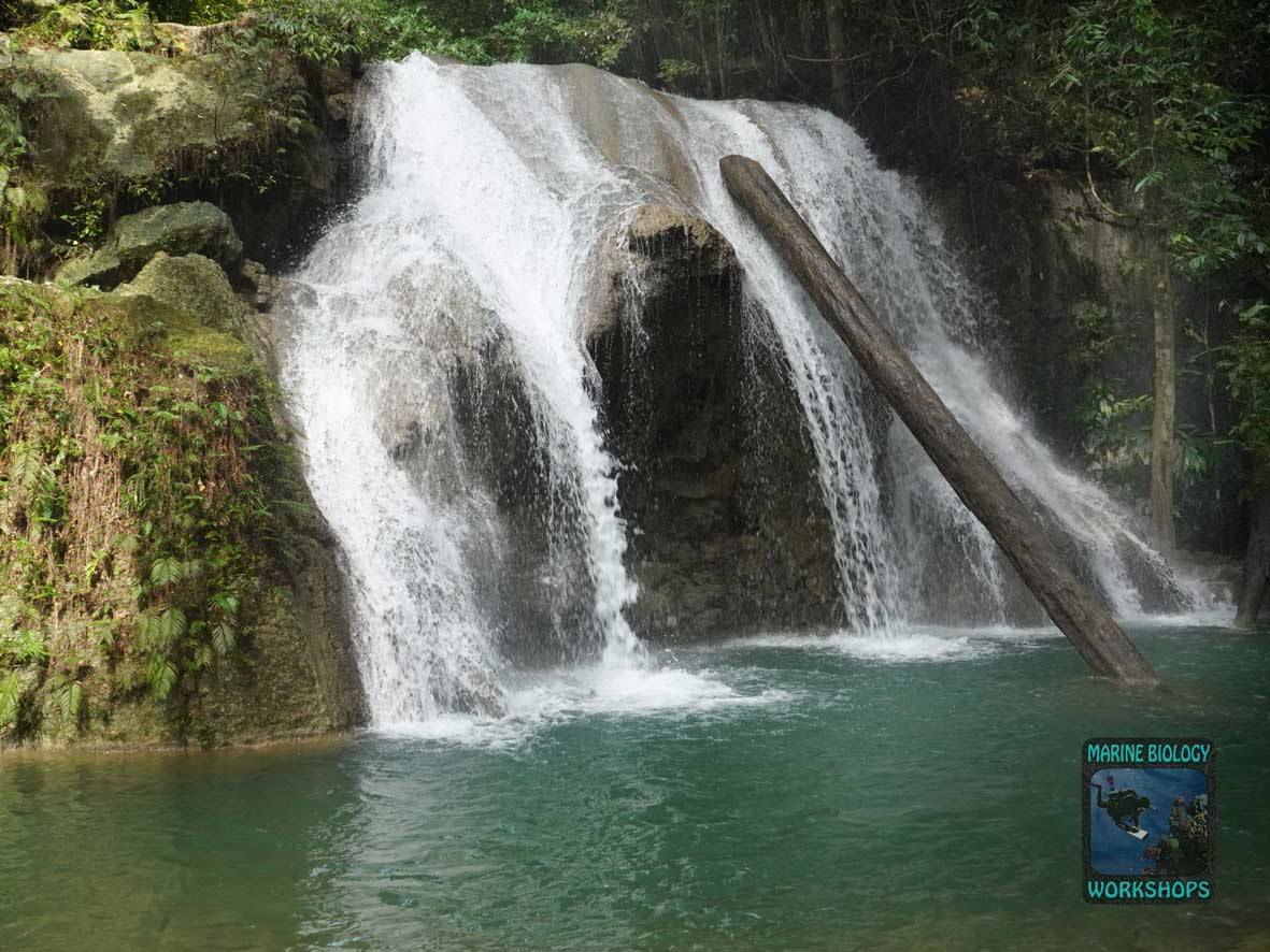 kleinerer Wasserfall auf Pulau Batanta