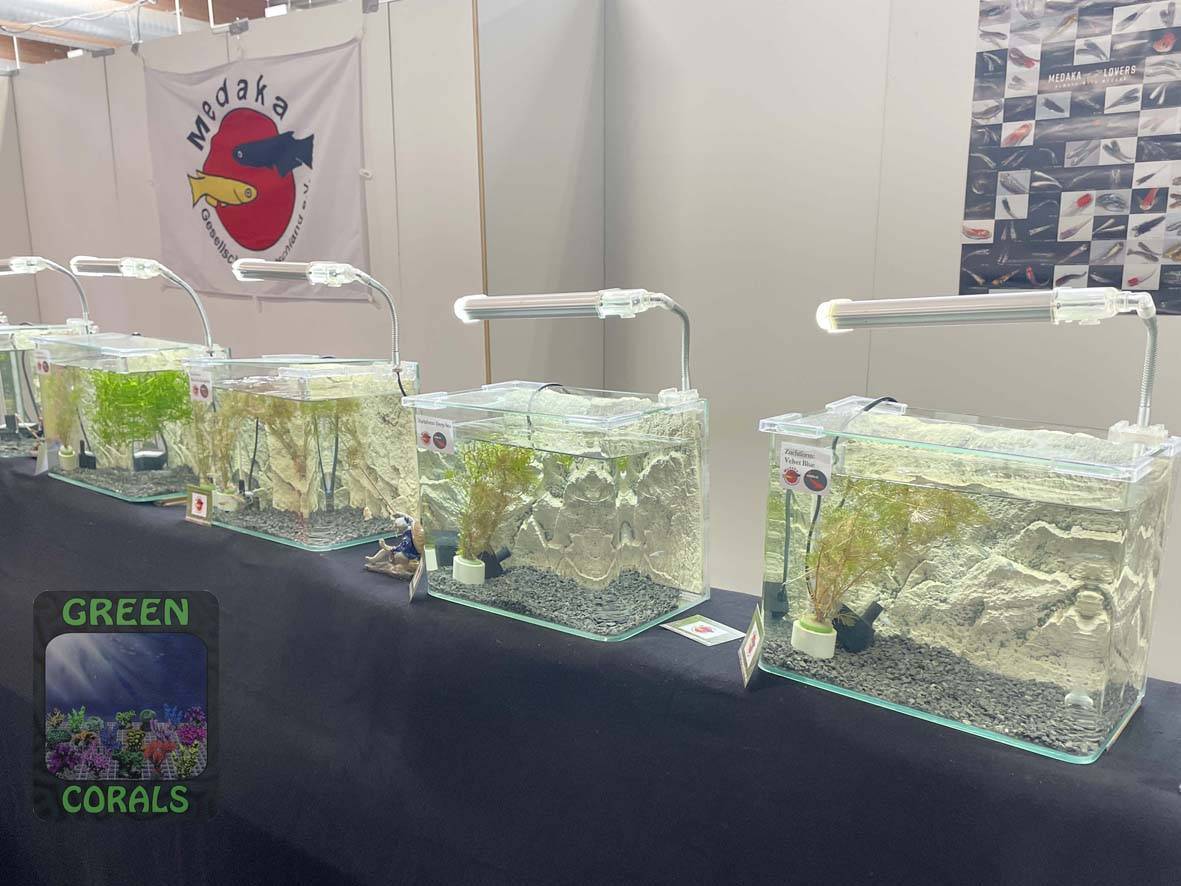 Süsswasserbereich Messe Aqua Expo 2026