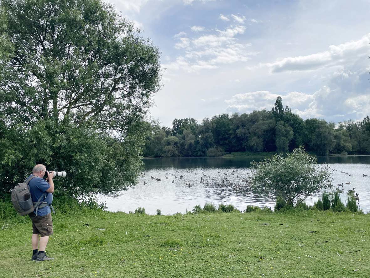 Naturfotografie am Ölper See