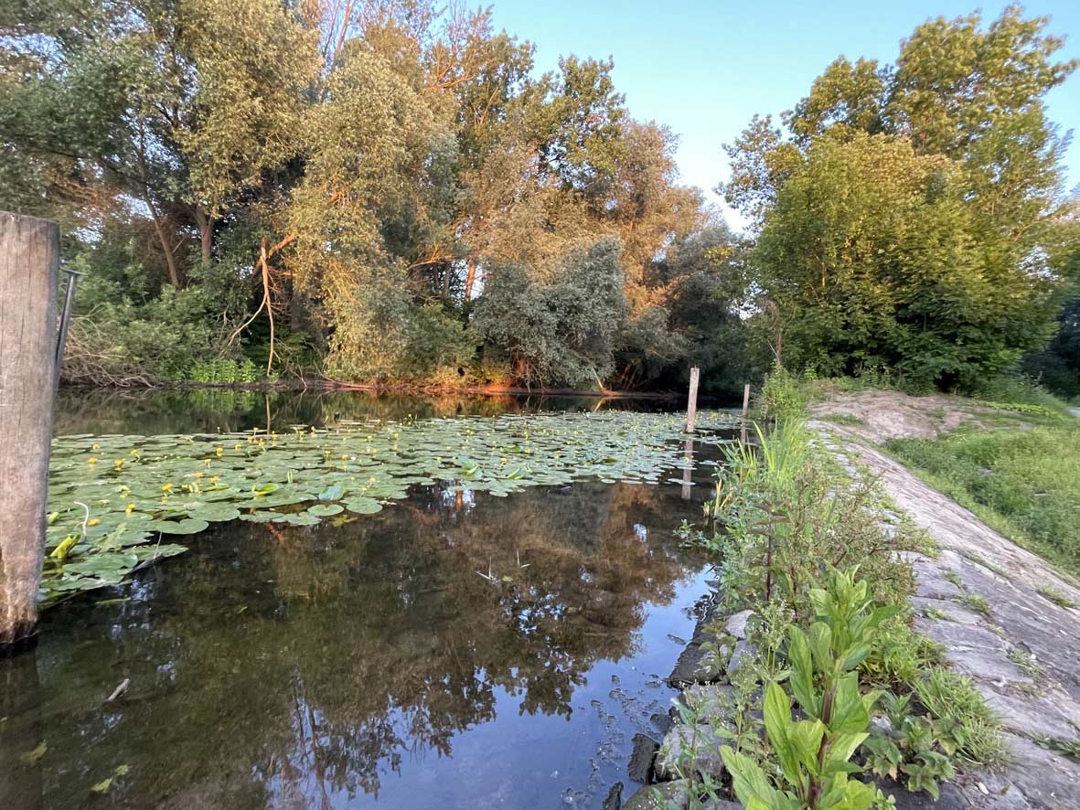 Überlaufschwelle von der Oker zum Ölper See