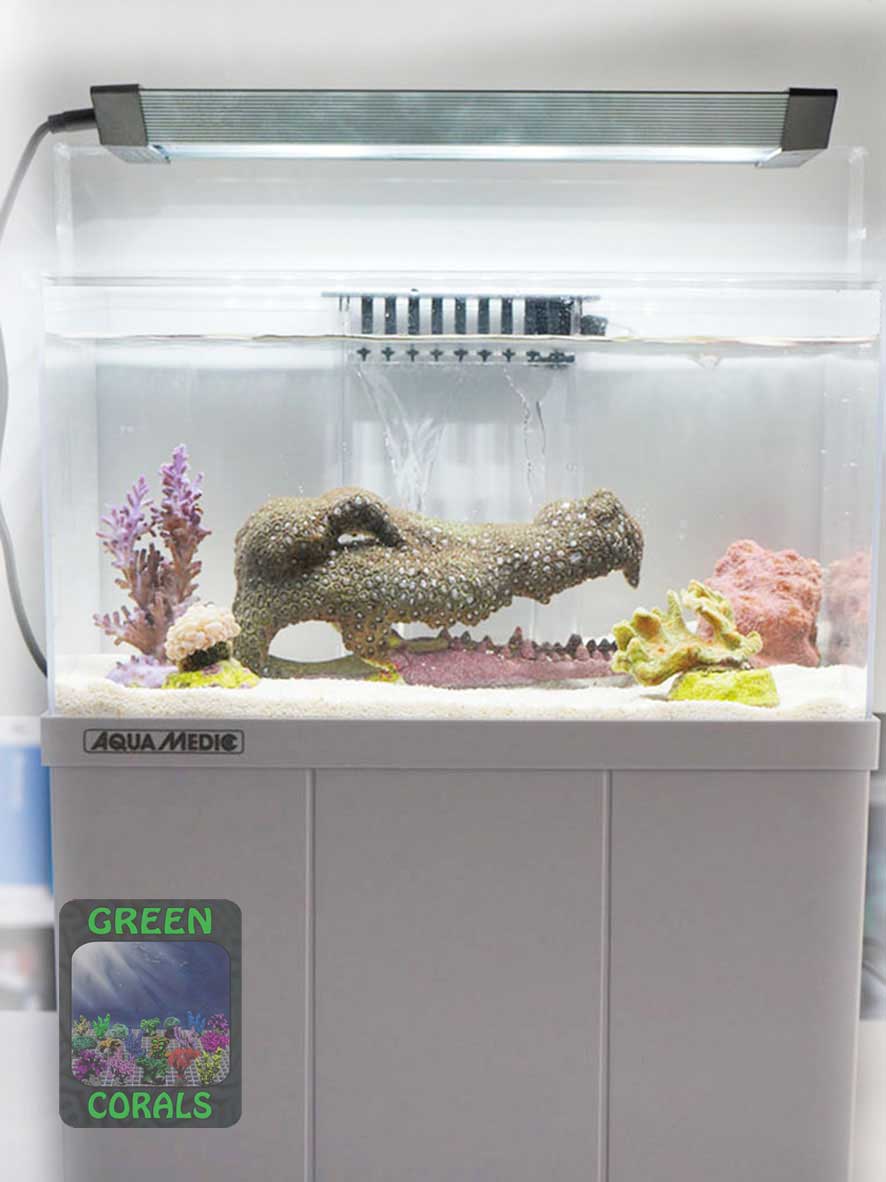 4-litre Armatus XS nano aquarium by Aqua Medic