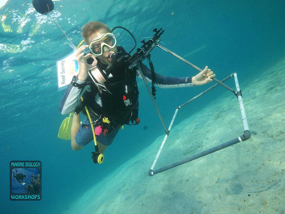 Marlin with a photo quadrat frame