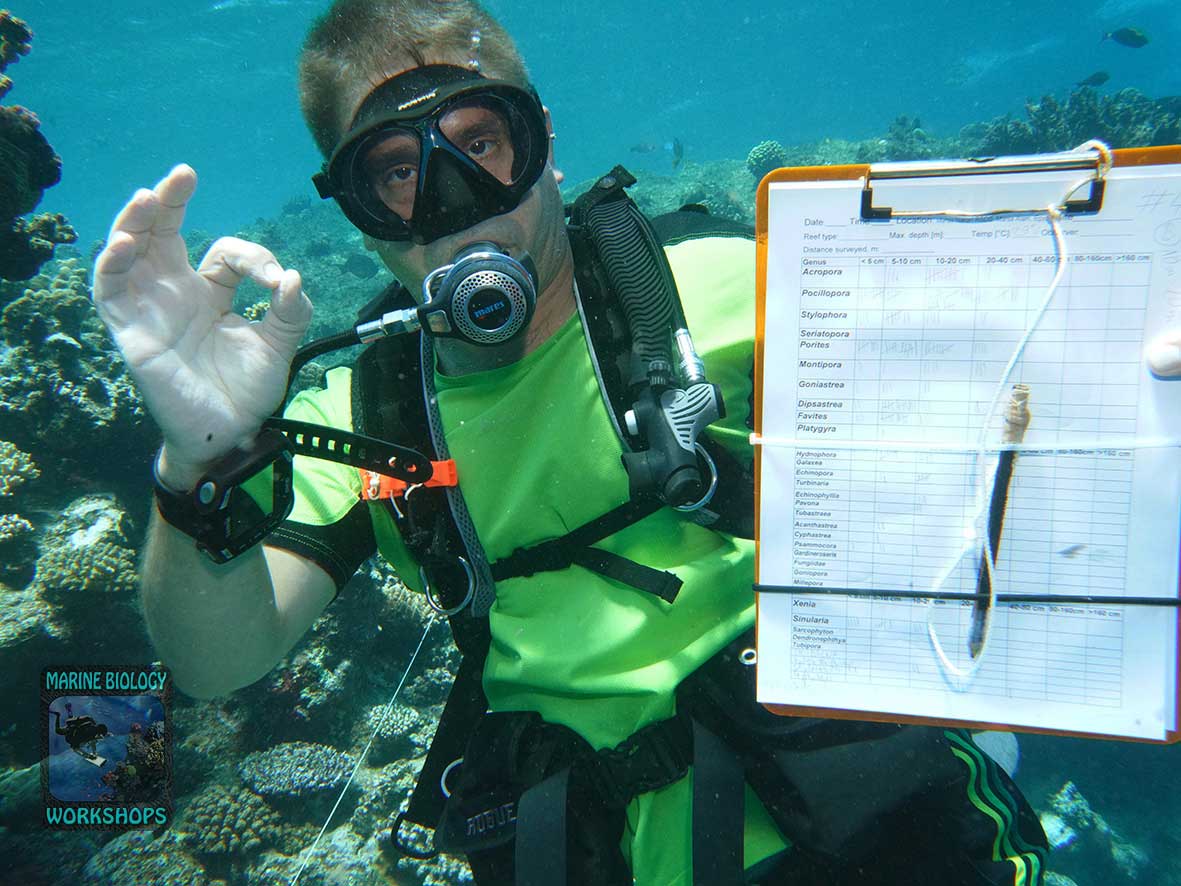 Stephan collecting data during the 2026 coral survey in Marsa Nakari
