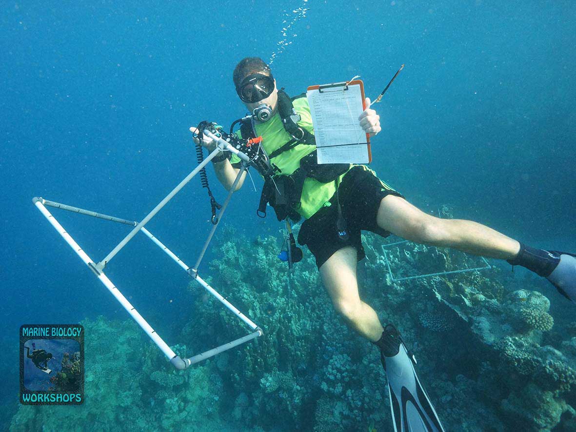 Stephan with a photo quadrat frame