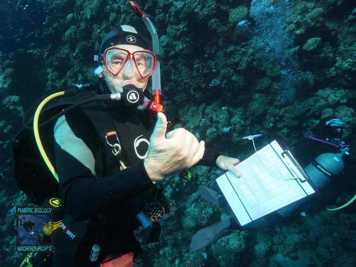 Fish team during the Reef Check survey in Marsa Egla