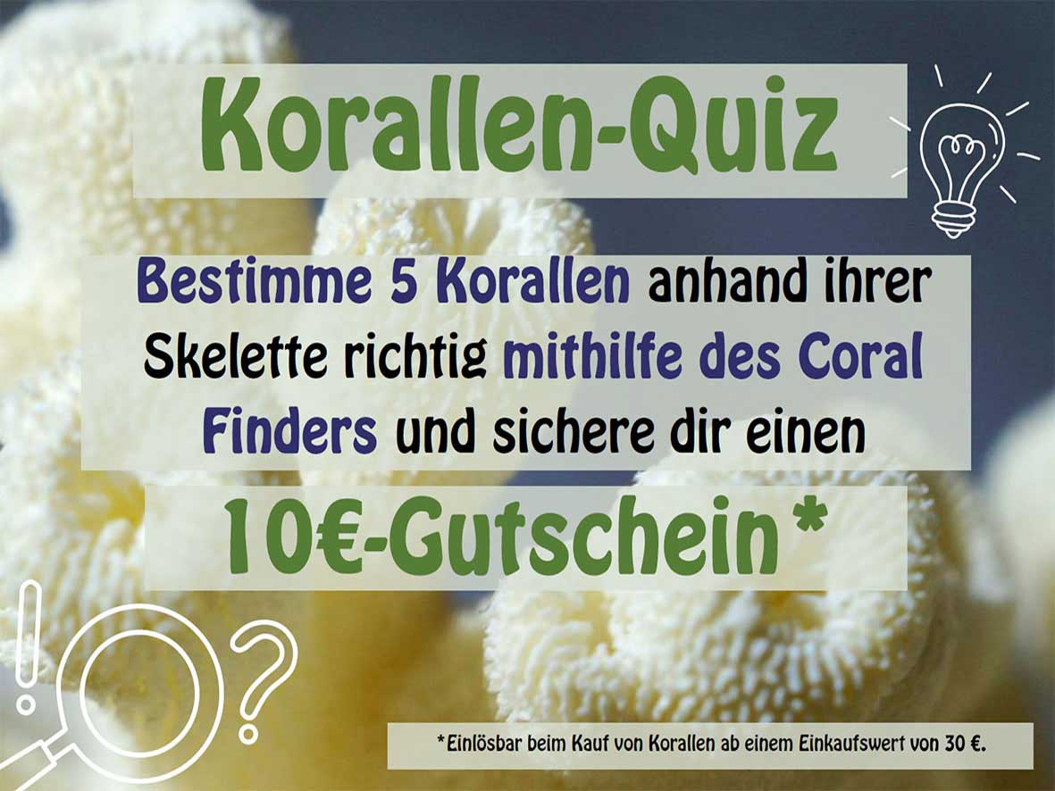 Coral quiz at the Nordriff fair 2026