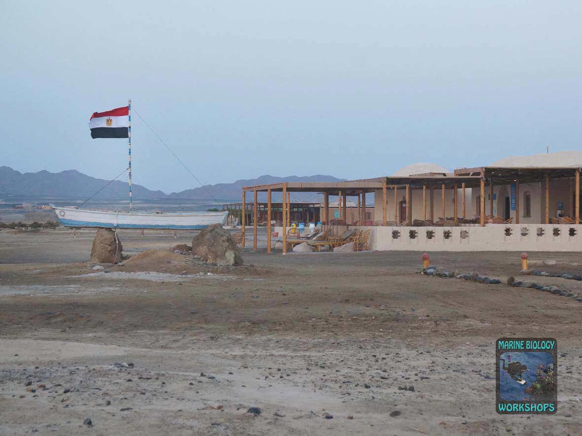 Wadi Lahami vilage, Red Sea Diving Safari