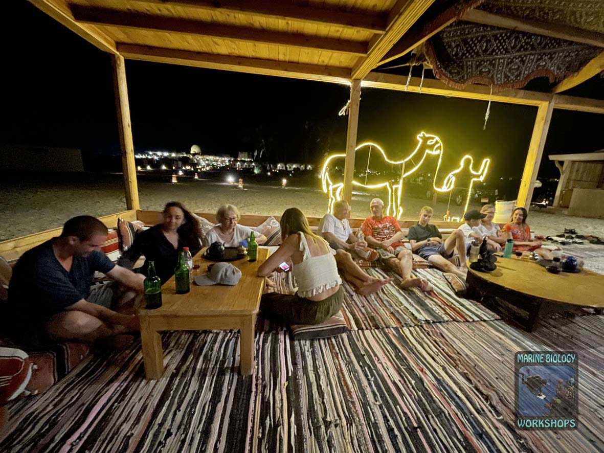 Reef Check Group 2026 at the Bedouin Café
