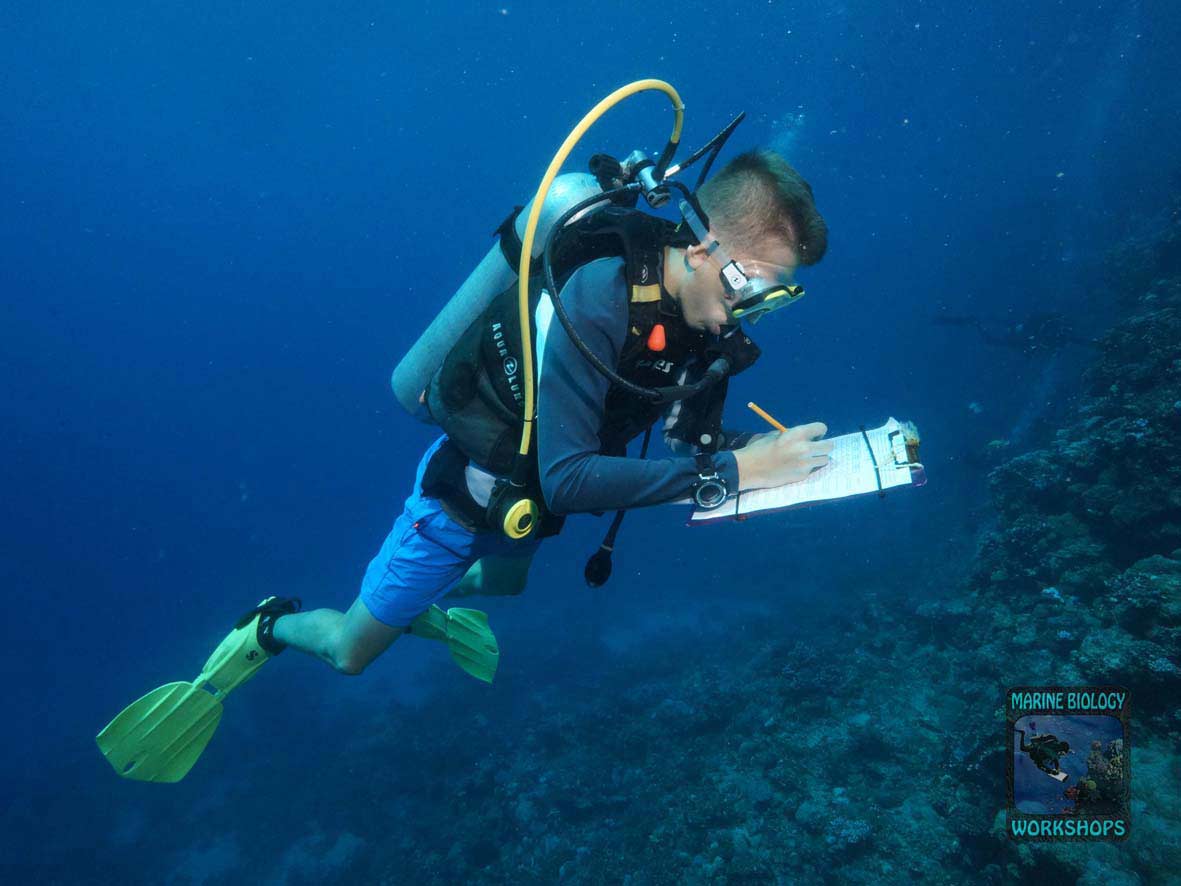 Substrate team during the Reef Check survey in Marsa Egla