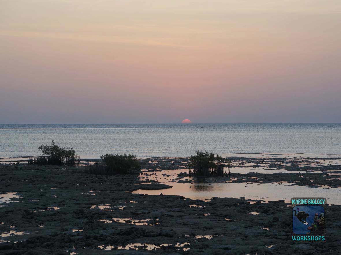 Sunrise in Wadi Lahami