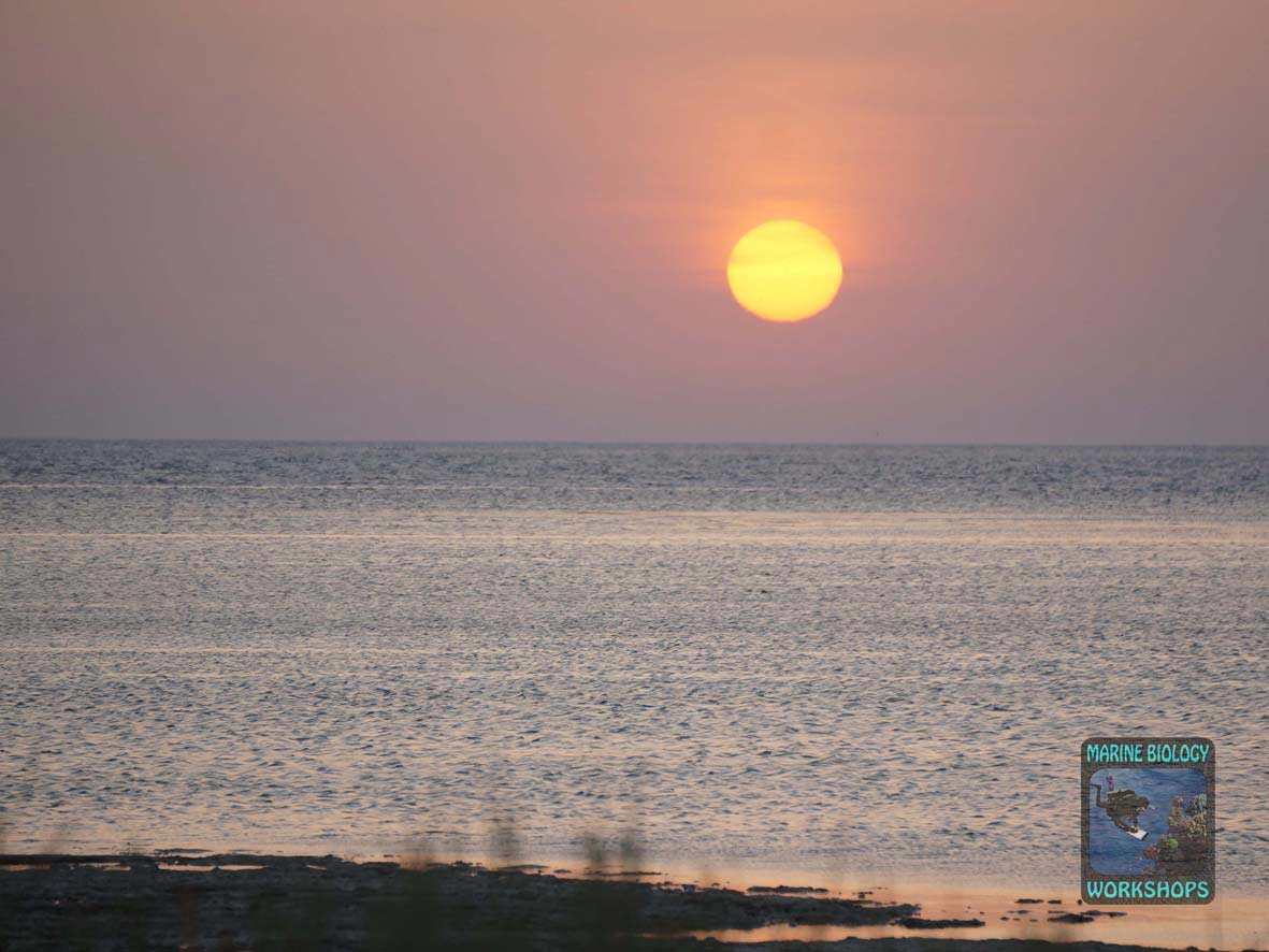 Sunrise in Wadi Lahami